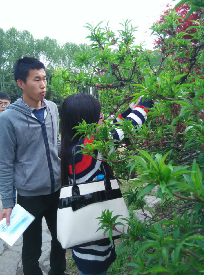 4008挂牌3.jpg